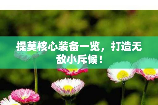 提莫核心装备一览图片