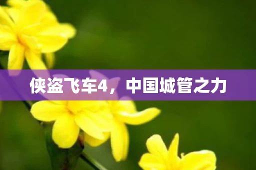 中国城管之力图片