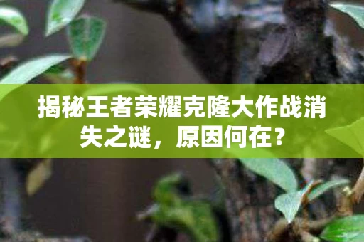 揭秘王者荣耀克隆大作战消失之谜图片