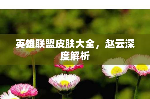 英雄联盟皮肤大全图片