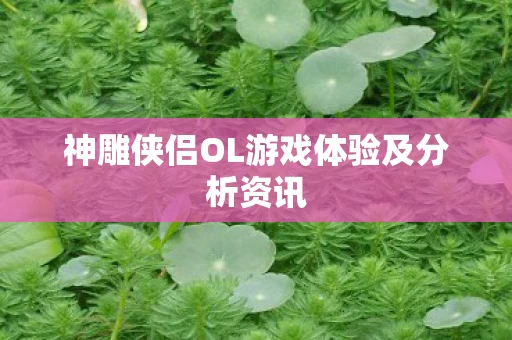 神雕侠侣OL游戏体验及分析资讯图片