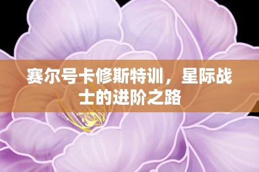 星际战士的进阶之路图片