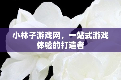 一站式游戏体验的打造者图片