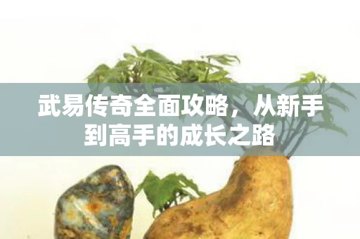 从新手到高手的成长之路图片