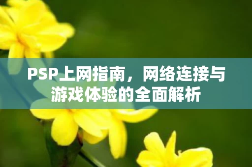 网络连接与游戏体验的全面解析图片