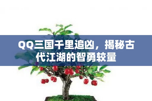 揭秘古代江湖的智勇较量图片