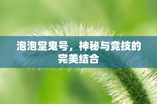 神秘与竞技的完美结合图片