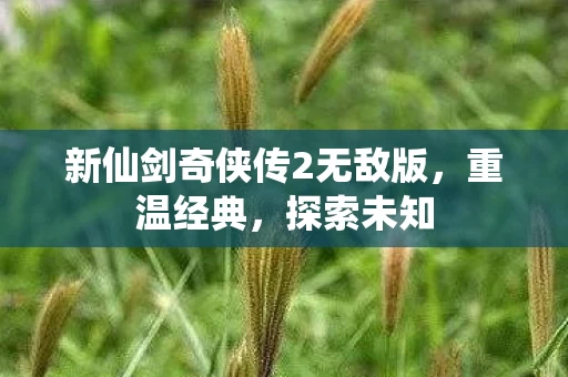 新仙剑奇侠传2无敌版图片