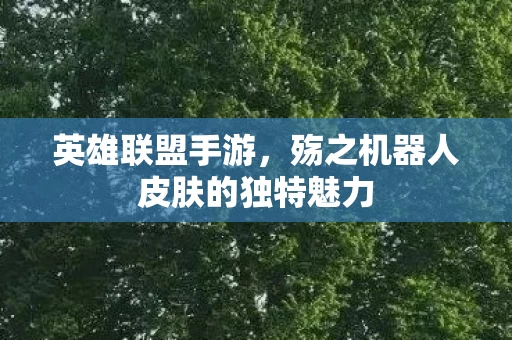 殇之机器人皮肤的独特魅力图片