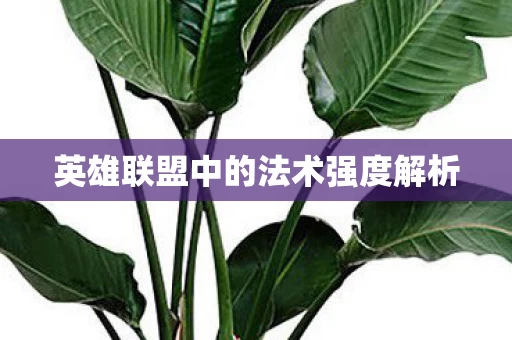 英雄联盟中的法术强度解析图片