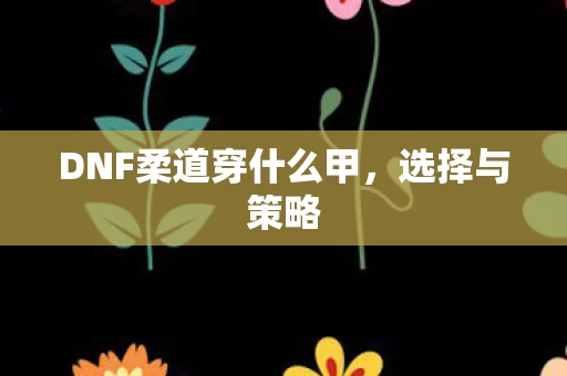 DNF柔道穿什么甲图片