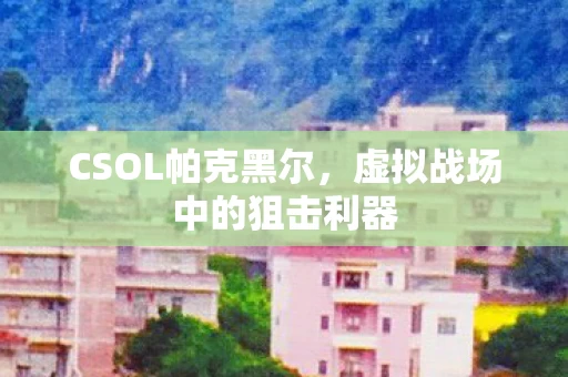 虚拟战场中的狙击利器图片
