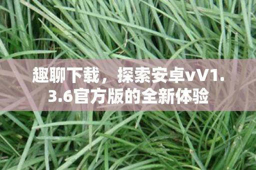 6官方版的全新体验图片