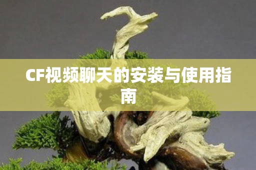 CF视频聊天的安装与使用指南图片