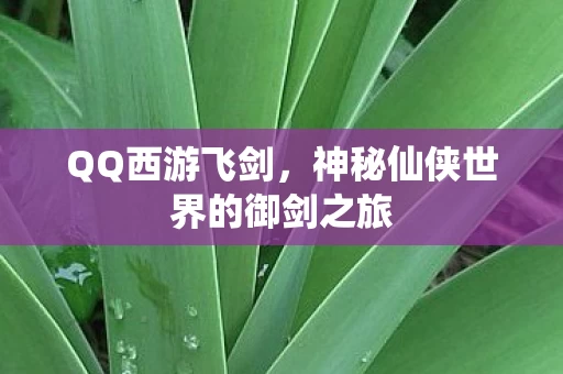 神秘仙侠世界的御剑之旅图片