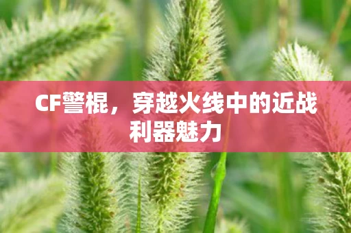 穿越火线中的近战利器魅力图片