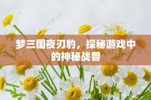 探秘游戏中的神秘战兽图片