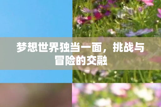 梦想世界独当一面图片