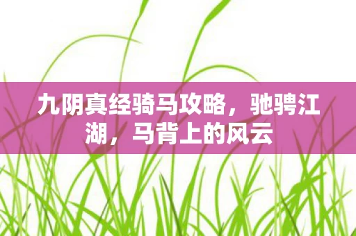 九阴真经骑马攻略图片