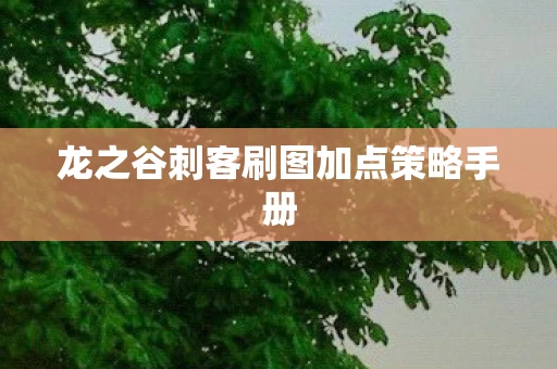 龙之谷刺客刷图加点策略手册图片