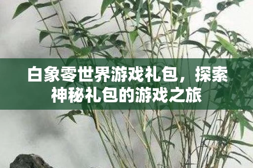 探索神秘礼包的游戏之旅图片