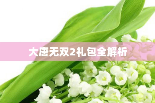 大唐无双2礼包全解析图片