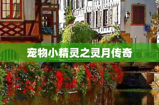 宠物小精灵之灵月传奇图片