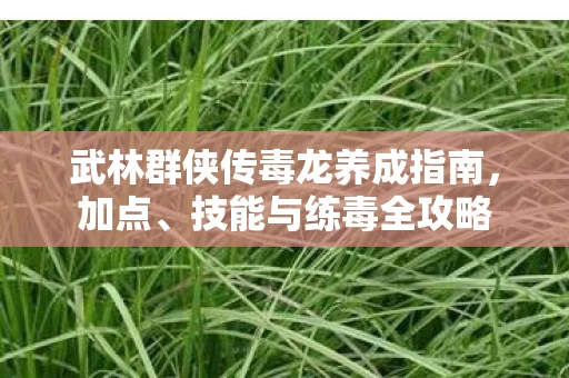 武林群侠传毒龙养成指南图片