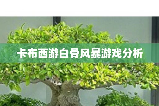 卡布西游白骨风暴游戏分析图片