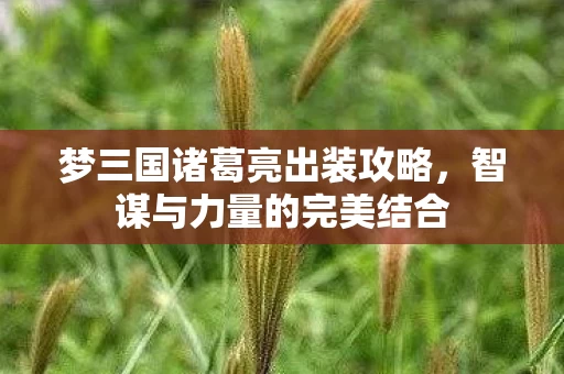 梦三国诸葛亮出装攻略图片