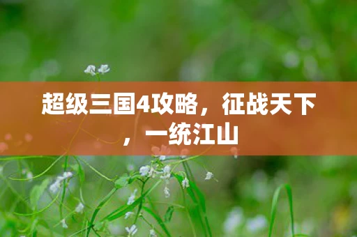 超级三国4攻略图片