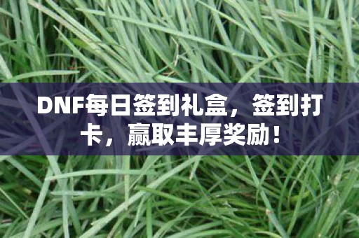 DNF每日签到礼盒图片