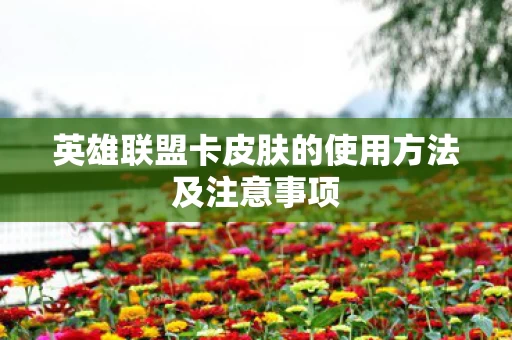 英雄联盟卡皮肤的使用方法及注意事项图片