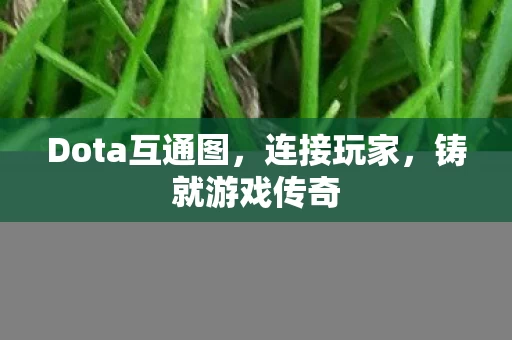 Dota互通图图片