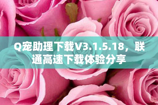联通高速下载体验分享图片