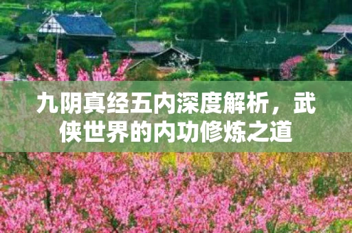武侠世界的内功修炼之道图片