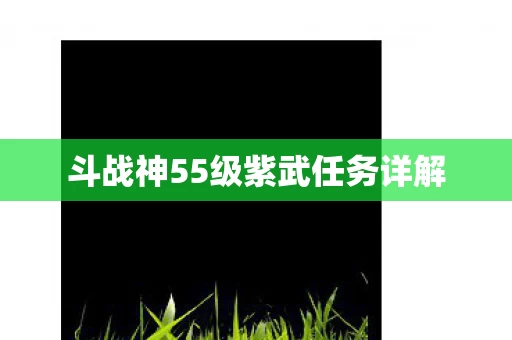斗战神55级紫武任务详解图片