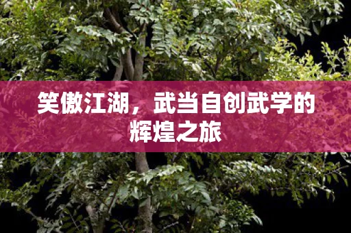 武当自创武学的辉煌之旅图片