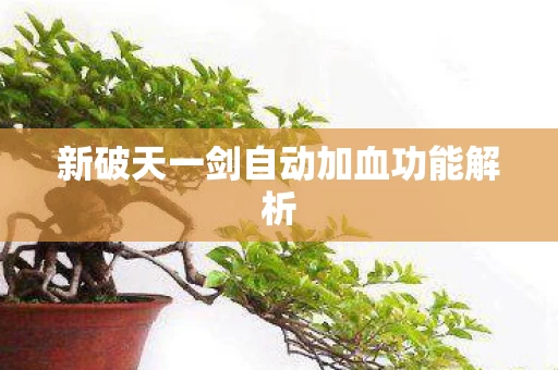 新破天一剑自动加血功能解析图片