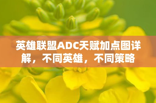 英雄联盟ADC天赋加点图详解图片