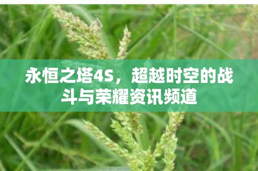 超越时空的战斗与荣耀资讯频道图片