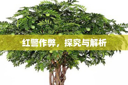 探究与解析图片