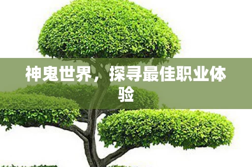 探寻最佳职业体验图片