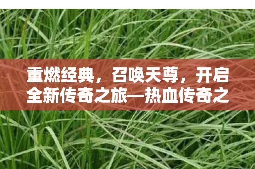 热血传奇之天尊召唤图片