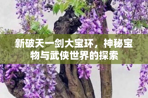 神秘宝物与武侠世界的探索图片