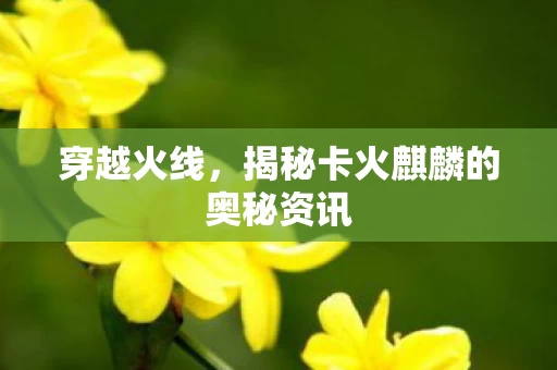揭秘卡火麒麟的奥秘资讯图片