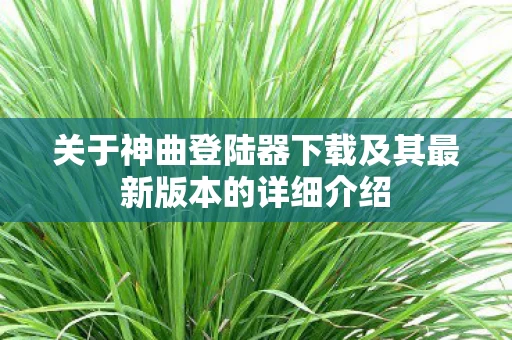 关于神曲登陆器下载及其最新版本的详细介绍图片