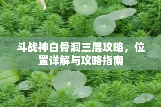 斗战神白骨洞三层攻略图片