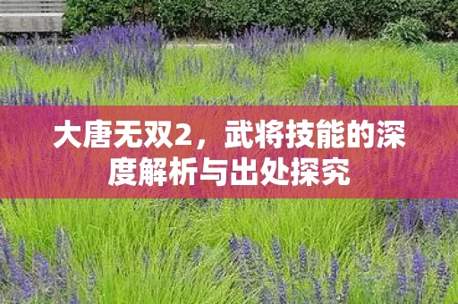武将技能的深度解析与出处探究图片