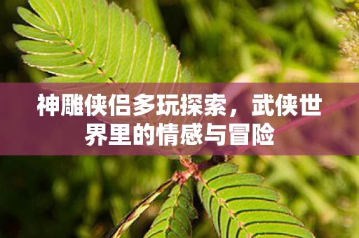 武侠世界里的情感与冒险图片